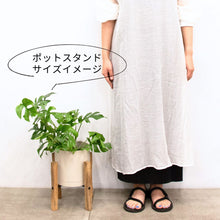 画像をギャラリービューアに読み込む, アジアンタム・フレグランス 5号 北欧デザインストレート鉢カバーセット&ポットスタンド ギフトにおすすめ