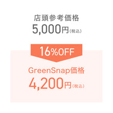 画像をギャラリービューアに読み込む, ビカクシダ・ネザーランド(コウモリラン) 6号