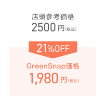 画像をギャラリービューアに読み込む, 【限定42個】ピレア・ペペロミオイデス 4号 ※予約商品:2/9まで 出荷予定:2/11