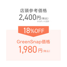 画像をギャラリービューアに読み込む, 【限定40セット】オステオスペルマム・サニー フィリップ 3.5号 3ポットセット ※予約商品:2/16まで 出荷予定:2/28