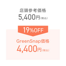 画像をギャラリービューアに読み込む, 【限定42個】ミモザ・アカシア 6号 ※予約商品:3/16まで 出荷予定:3/21