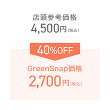 画像をギャラリービューアに読み込む, フィッシュボーン・カクタス 5号 吊鉢