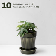 画像をギャラリービューアに読み込む, 【土を使わない観葉植物】テーブルプランツ(Table Plants)1品種×Kaunis Standard鉢セット