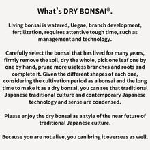 画像をギャラリービューアに読み込む, 【父の日ギフト】ドライ盆栽® 黒陶器 枯れ盆栽