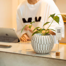 画像をギャラリービューアに読み込む, 【美容室コラボ】サステナ素材で育てる観葉植物 3号 セメント鉢