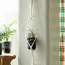 画像をギャラリービューアに読み込む, 【土を使わない観葉植物】つる性テーブルプランツ(Table Plants) ×ハンギングセット