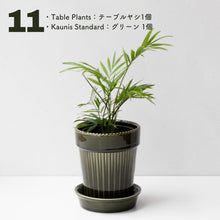 画像をギャラリービューアに読み込む, 【土を使わない観葉植物】テーブルプランツ(Table Plants)1品種×Kaunis Standard鉢セット