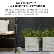 画像をギャラリービューアに読み込む, CAPI キューブポット リブ 30cm/40cm/50cm