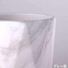 画像をギャラリービューアに読み込む, ヒメモンステラ 5号 おしゃれなマーブル陶器鉢カバーセット