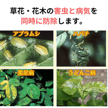 画像をギャラリービューアに読み込む, 【GreenSnap特別価格】 ベニカXスプレー 420ml (殺虫殺菌剤) ※アウトレット商品