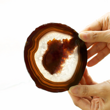 画像をギャラリービューアに読み込む, 【土を使わない観葉植物】 テーブルプランツ(Table Plants) ×カラフルCRYSTAL COASTERセット