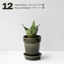 画像をギャラリービューアに読み込む, 【土を使わない観葉植物】テーブルプランツ(Table Plants)1品種×Kaunis Standard鉢セット