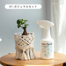 画像をギャラリービューアに読み込む, ギフトにおすすめ!【土を使わない観葉植物】テーブルプランツ (Table Plants) ×マクラメカバー×Table Plants Water(テーブルプランツウォーター)セット