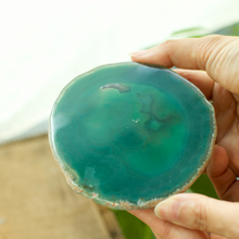 画像をギャラリービューアに読み込む, 【土を使わない観葉植物】 テーブルプランツ(Table Plants) ×カラフルCRYSTAL COASTERセット