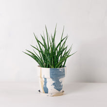 画像をギャラリービューアに読み込む, サンスベリア・ファーンウッド 5号 マーブル鉢カバーセット