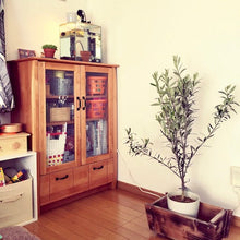 画像をギャラリービューアに読み込む, オリーブの木 8号 アトリエポットカバーセット