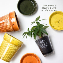 画像をギャラリービューアに読み込む, 【土を使わない観葉植物】テーブルプランツ(Table Plants)1品種×Kaunis Standard鉢セット