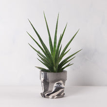 画像をギャラリービューアに読み込む, サンスベリア・シルバーニンフ 5号 マーブル鉢カバーセット