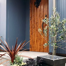 画像をギャラリービューアに読み込む, オリーブの木 8号 アトリエポットカバーセット