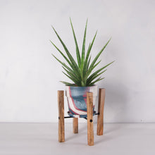 画像をギャラリービューアに読み込む, サンスベリア・シルバーニンフ 5号 マーブル鉢カバー&ポットスタンドセット