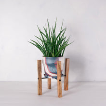 画像をギャラリービューアに読み込む, サンスベリア・ファーンウッド 5号 マーブル鉢カバー&ポットスタンドセット