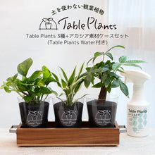 画像をギャラリービューアに読み込む, 【土を使わない観葉植物】 テーブルプランツ(Table Plants) 3種+アカシア素材ケースセット ※Water付き