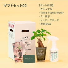 画像をギャラリービューアに読み込む, 【土を使わない観葉植物】テーブルプランツ ギフトセット(Table Plants)