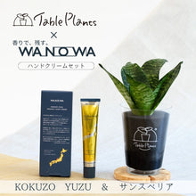 画像をギャラリービューアに読み込む, 【数量限定】天然由来成分98%以上国産ハンドクリーム×TablePlants(テーブルプランツ)セット