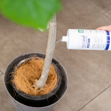 画像をギャラリービューアに読み込む, 【定期便専用ページ】cu:Leaf®(キュリーフ) 1000ml