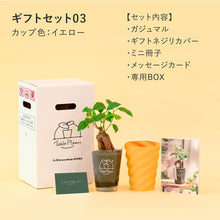 画像をギャラリービューアに読み込む, 【土を使わない観葉植物】テーブルプランツ ギフトセット(Table Plants)