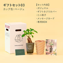 画像をギャラリービューアに読み込む, 【土を使わない観葉植物】テーブルプランツ ギフトセット(Table Plants)