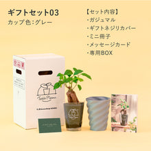 画像をギャラリービューアに読み込む, 【土を使わない観葉植物】テーブルプランツ ギフトセット(Table Plants)