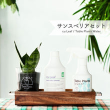 画像をギャラリービューアに読み込む, 【アカシア素材ケース付き】テーブルプランツ(Table Plants) +2種の活力剤セット(cu:Leaf / Table Plants Water ) ※土を使わない観葉植物