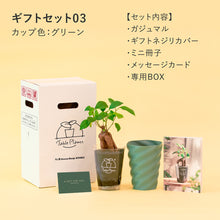 画像をギャラリービューアに読み込む, 【土を使わない観葉植物】テーブルプランツ ギフトセット(Table Plants)