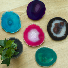 画像をギャラリービューアに読み込む, 【土を使わない観葉植物】 テーブルプランツ(Table Plants) ×カラフルCRYSTAL COASTERセット