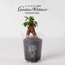 画像をギャラリービューアに読み込む, 【土を使わない観葉植物】テーブルプランツ(Table Plants)ガーデンベアカップ