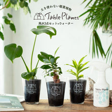 画像をギャラリービューアに読み込む, 【風水効果で選ぶ!】テーブルプランツ(Table Plants) 3種+Table Plants Waterセット ※土を使わない観葉植物