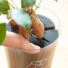 画像をギャラリービューアに読み込む, 【TablePlants専用】スポンジ単品