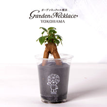 画像をギャラリービューアに読み込む, 【土を使わない観葉植物】テーブルプランツ(Table Plants)ガーデンベアカップ