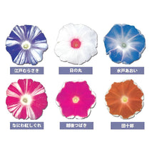 画像をギャラリービューアに読み込む, 【予約商品:6/14発送】アサガオ・ご当地シリーズ 3.5号 6種セット