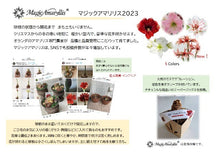 画像をギャラリービューアに読み込む, 【水も土もいらない!】マジックアマリリス