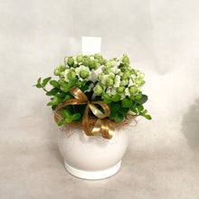画像をギャラリービューアに読み込む, 【予約商品:3/8発送分】カランコエ・パリホワイト スフィア陶器鉢セット 5号