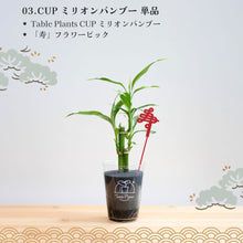 画像をギャラリービューアに読み込む, 【2026年お正月限定セット】テーブルプランツ黒松&バンブーセット ※土を使わない観葉植物