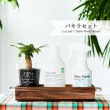画像をギャラリービューアに読み込む, 【アカシア素材ケース付き】テーブルプランツ(Table Plants) +2種の活力剤セット(cu:Leaf / Table Plants Water ) ※土を使わない観葉植物