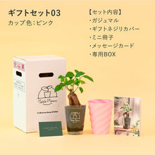 画像をギャラリービューアに読み込む, 【土を使わない観葉植物】テーブルプランツ ギフトセット(Table Plants)