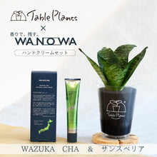 画像をギャラリービューアに読み込む, 【数量限定】天然由来成分98%以上国産ハンドクリーム×TablePlants(テーブルプランツ)セット