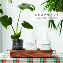 画像をギャラリービューアに読み込む, 【アカシア素材ケース付き】テーブルプランツ(Table Plants) +2種の活力剤セット(cu:Leaf / Table Plants Water ) ※土を使わない観葉植物