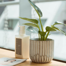 画像をギャラリービューアに読み込む, 【美容室コラボ】サステナ素材で育てる観葉植物 3号 セメント鉢
