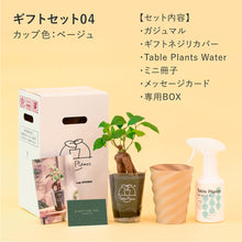 画像をギャラリービューアに読み込む, 【土を使わない観葉植物】テーブルプランツ ギフトセット(Table Plants)