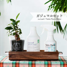 画像をギャラリービューアに読み込む, 【アカシア素材ケース付き】テーブルプランツ(Table Plants) +2種の活力剤セット(cu:Leaf / Table Plants Water ) ※土を使わない観葉植物